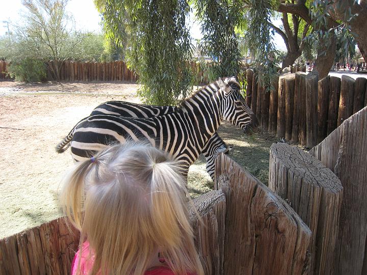 2nd Birthday at the zoo 34.JPG